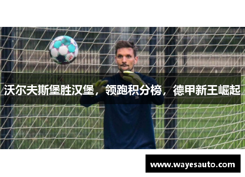 沃尔夫斯堡胜汉堡，领跑积分榜，德甲新王崛起